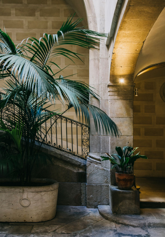 about estudio patio interior clase bcn – Clase bcn