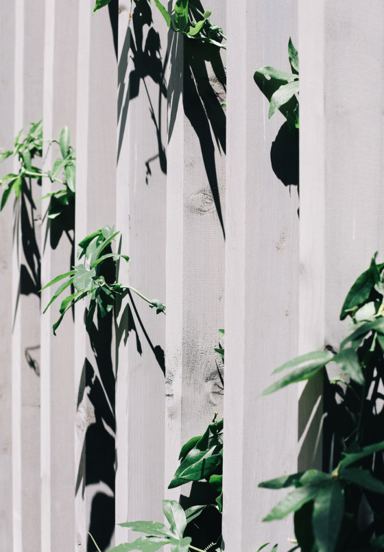 Identity and art direction Infernino Clase bcn – Clase bcn