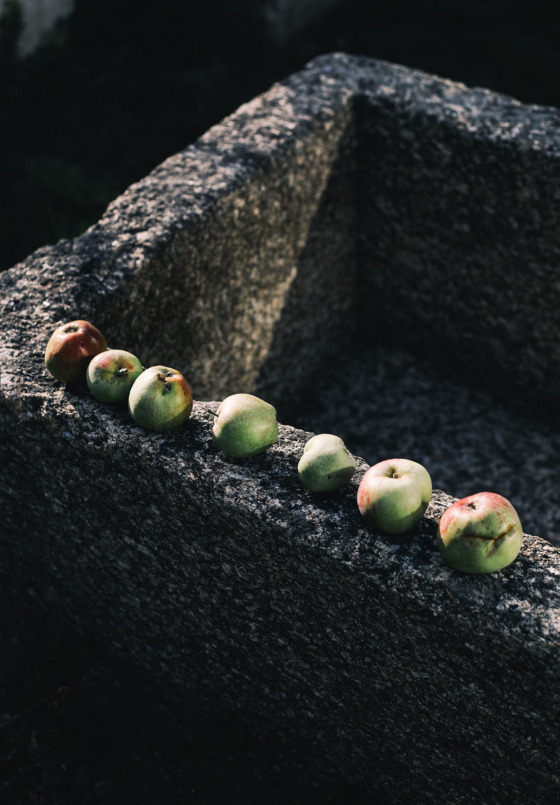 Identity and art direction Infernino Clase bcn – Clase bcn