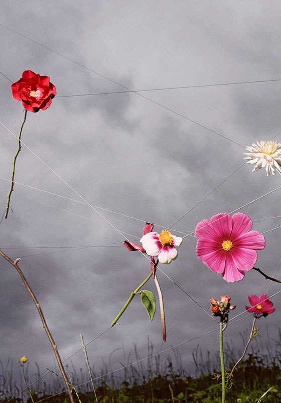 tip of the week photo collier schorr blumen clase bcn – Clase bcn