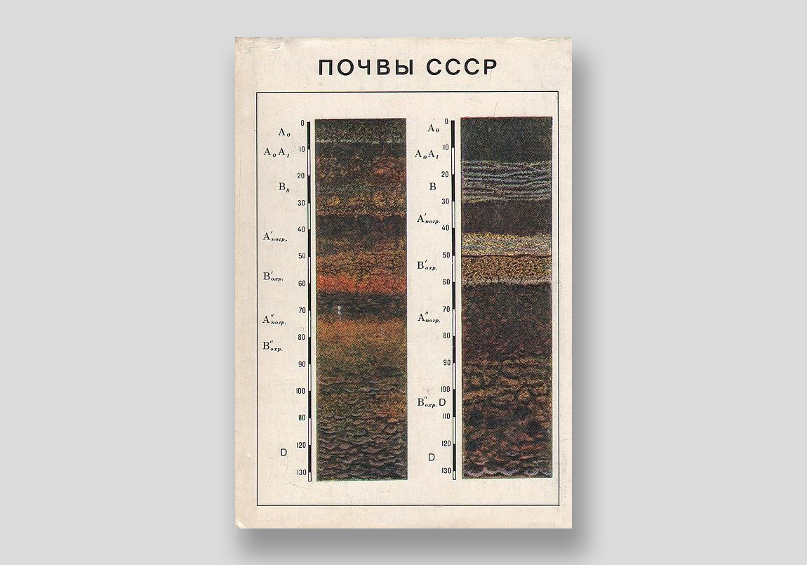 Почвы СССР — Т. Афанасьева, В. Василенко, Т. Терешина, Б. Шеремет  – Clase bcn