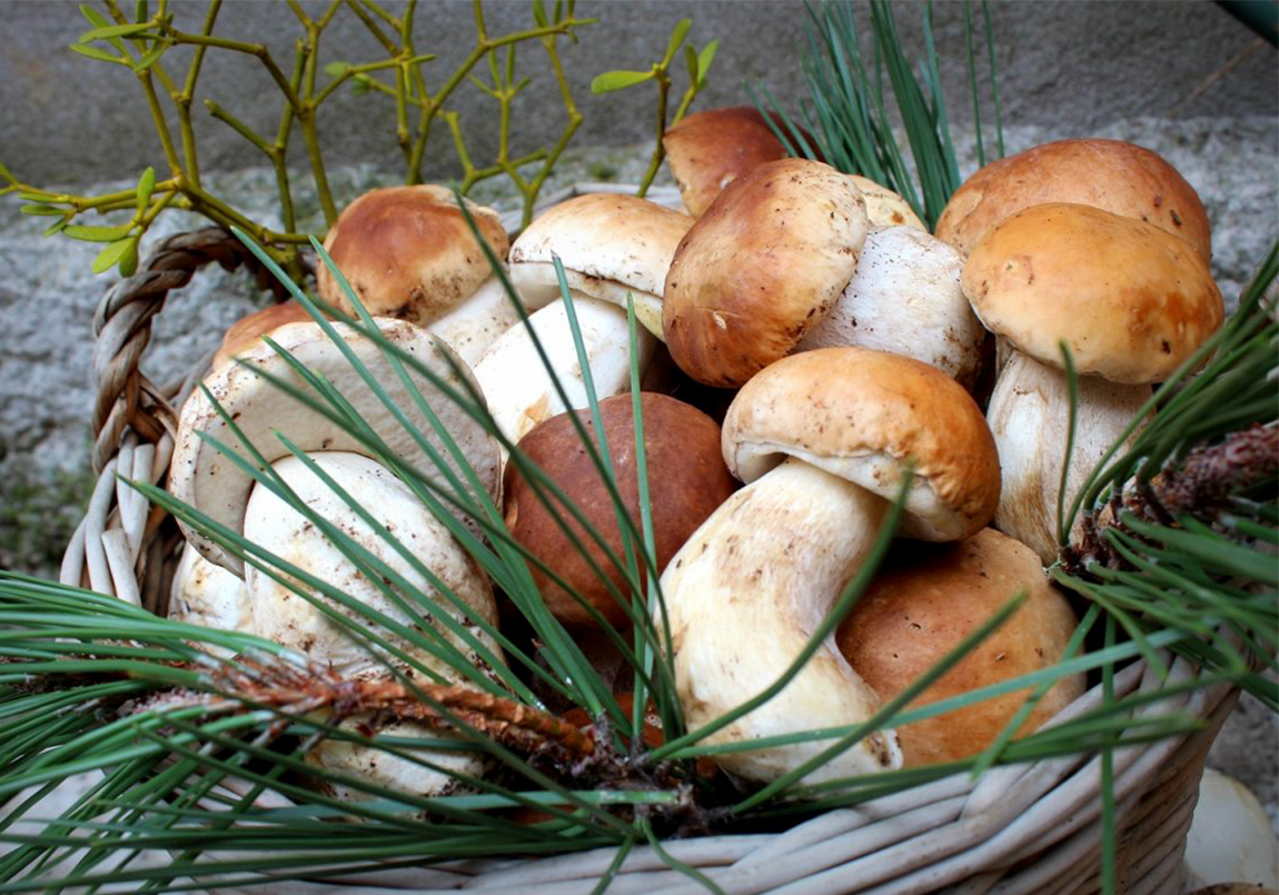 Polenta Veneziana – Clase bcn