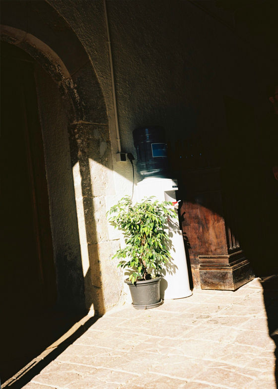 Vinyes de Barcelona – Clase bcn