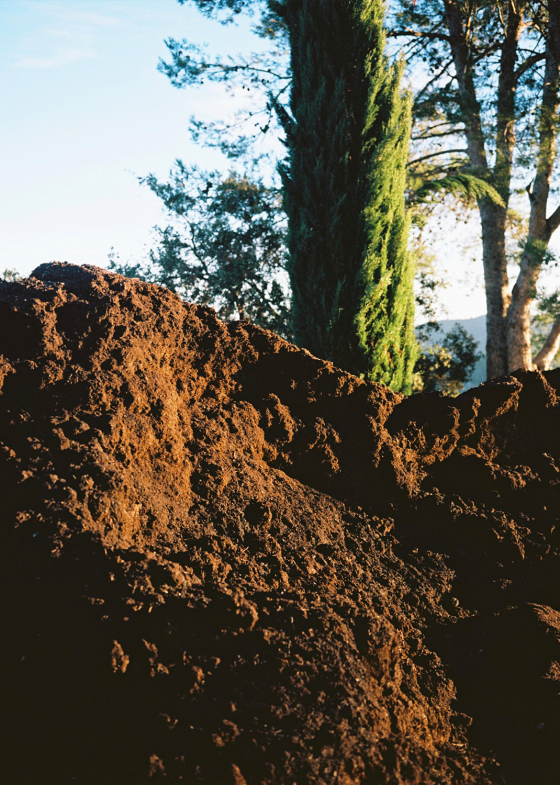 Vinyes de Barcelona – Clase bcn