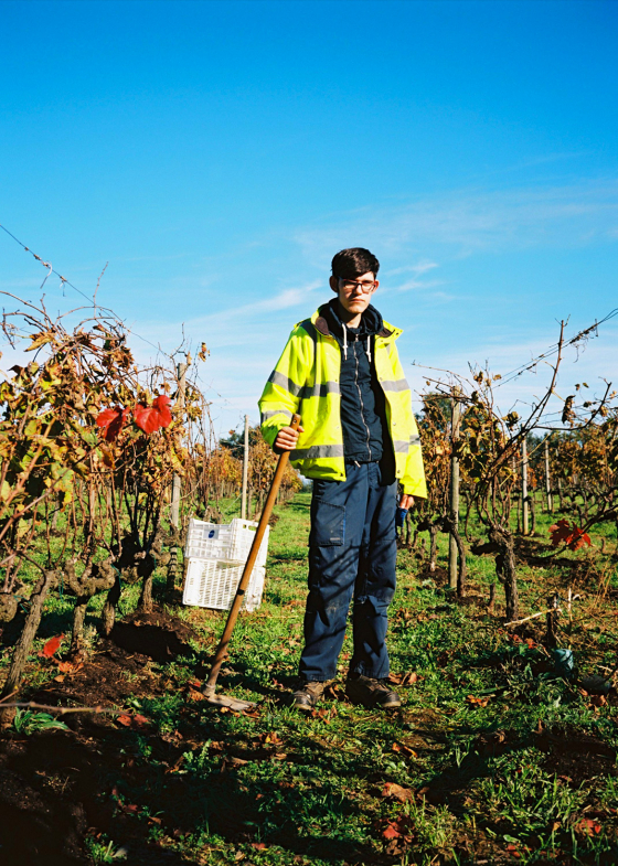 Vinyes de Barcelona – Clase bcn