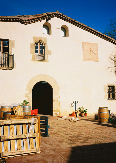 Vinyes de Barcelona