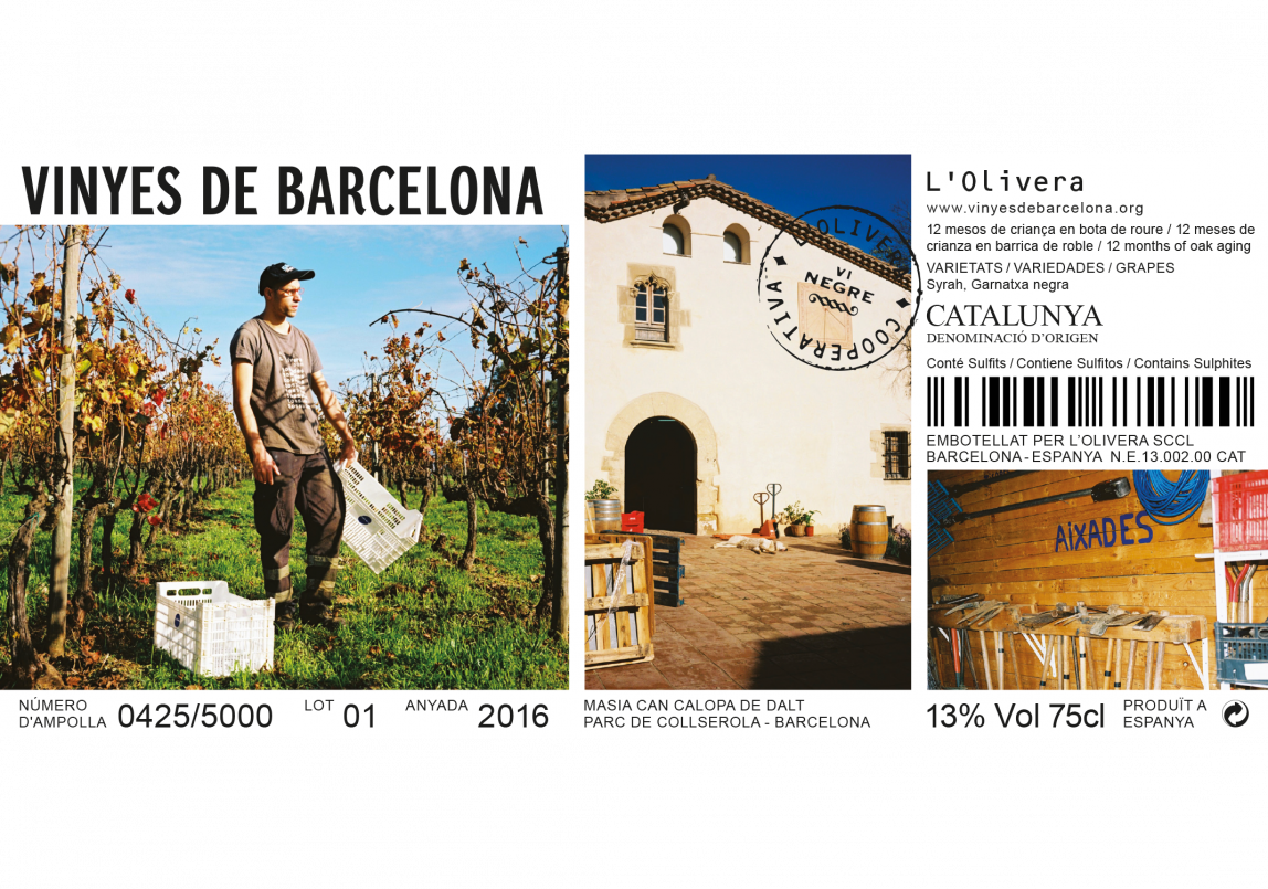 Vinyes de Barcelona – Clase bcn
