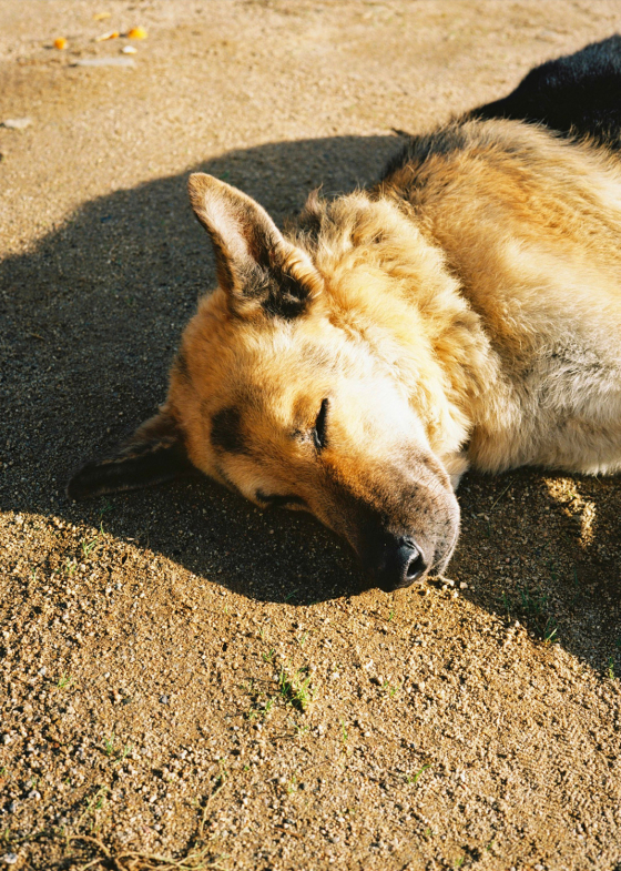 Vinyes de Barcelona – Clase bcn