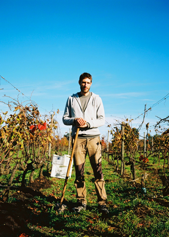 Vinyes de Barcelona – Clase bcn