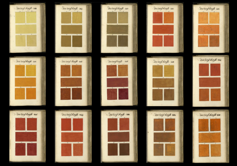 Traité des Couleurs