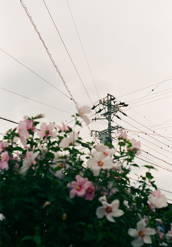 Chukado – Clase bcn