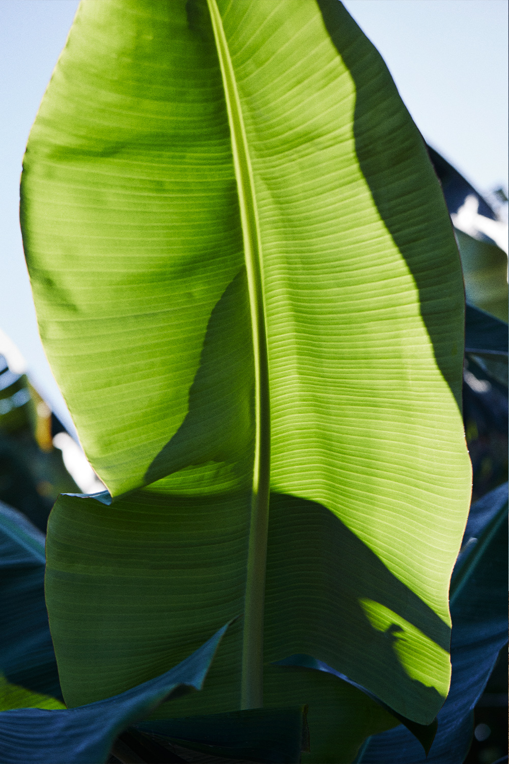 clase bcn content art direction design made in spain pedro garcia – Clase bcn