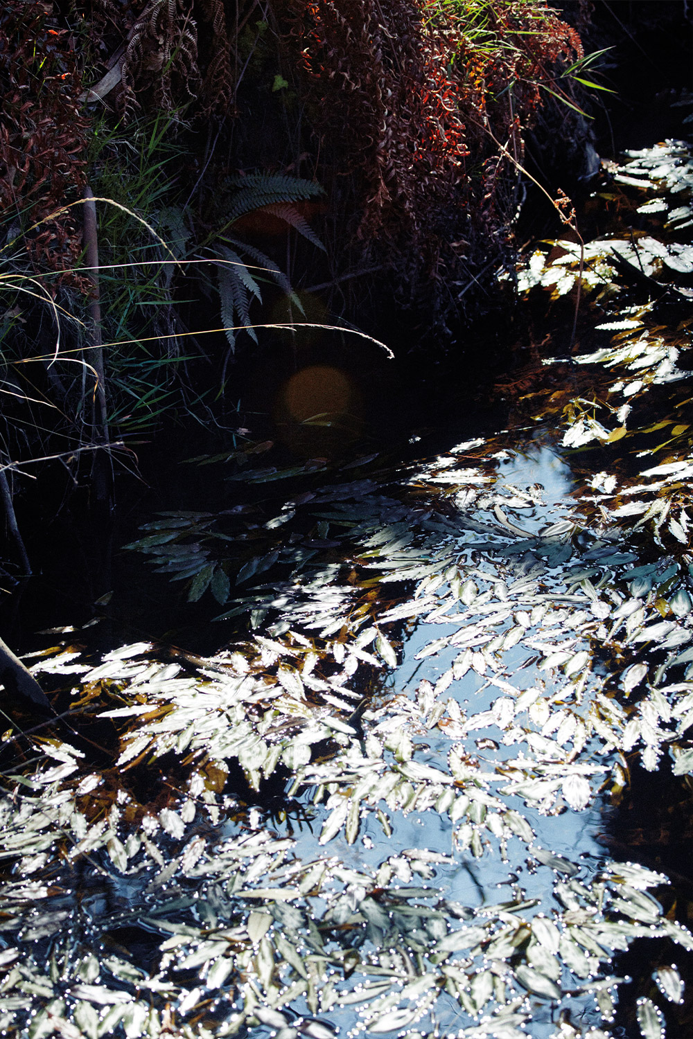 clase bcn content art direction design made in spain pedro garcia – Clase bcn