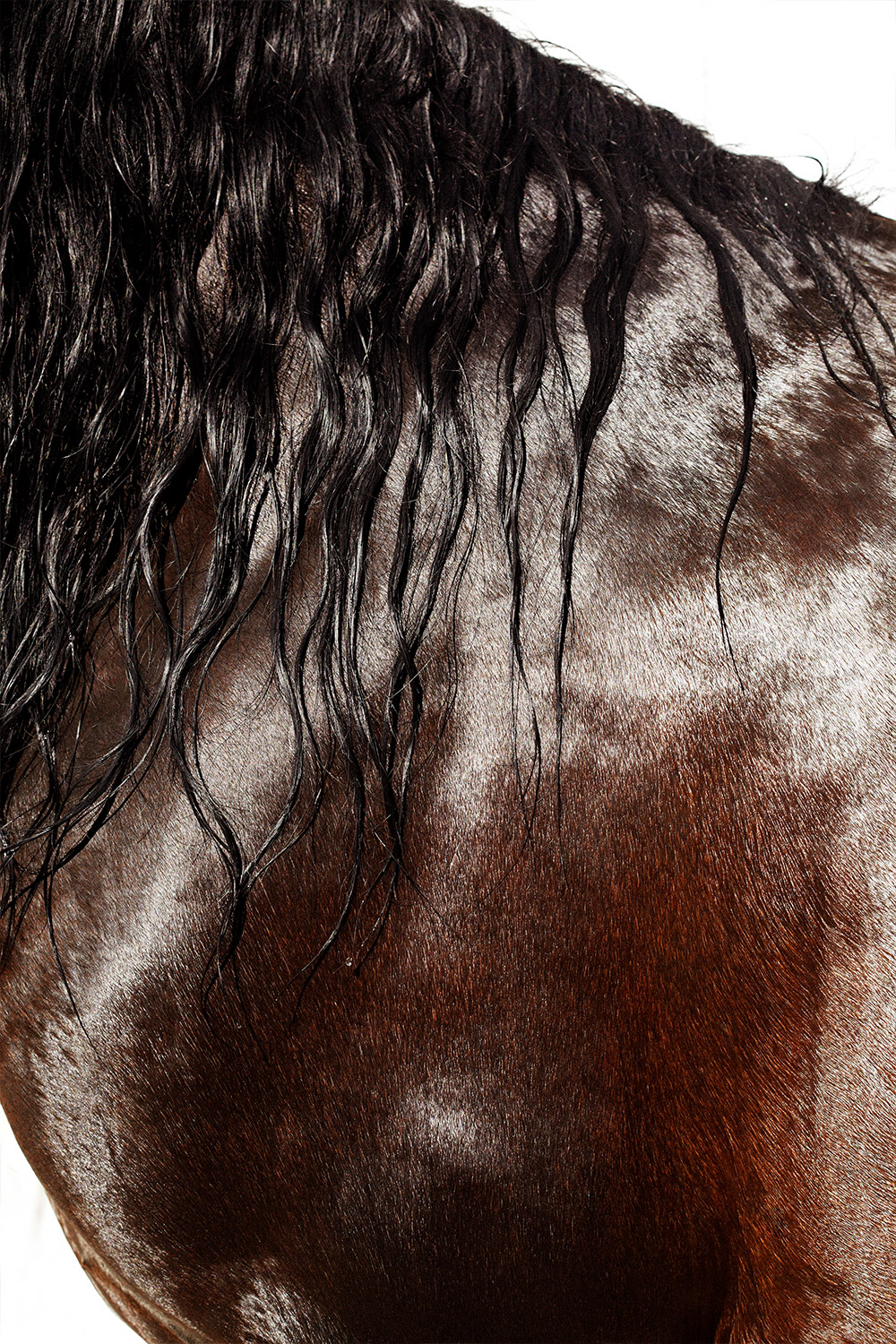 clase bcn content art direction design made in spain pedro garcia – Clase bcn