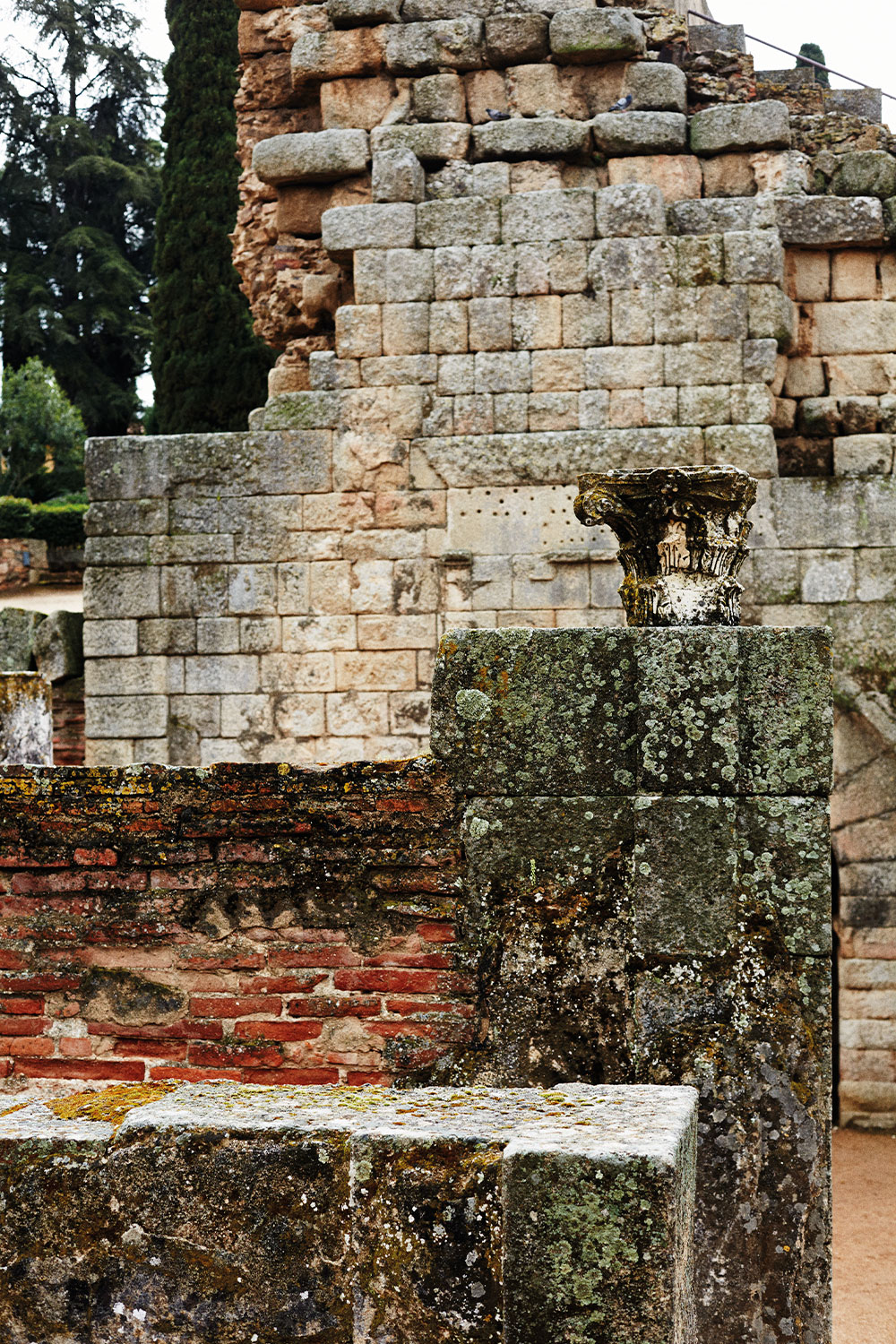 clase bcn content art direction design made in spain pedro garcia – Clase bcn