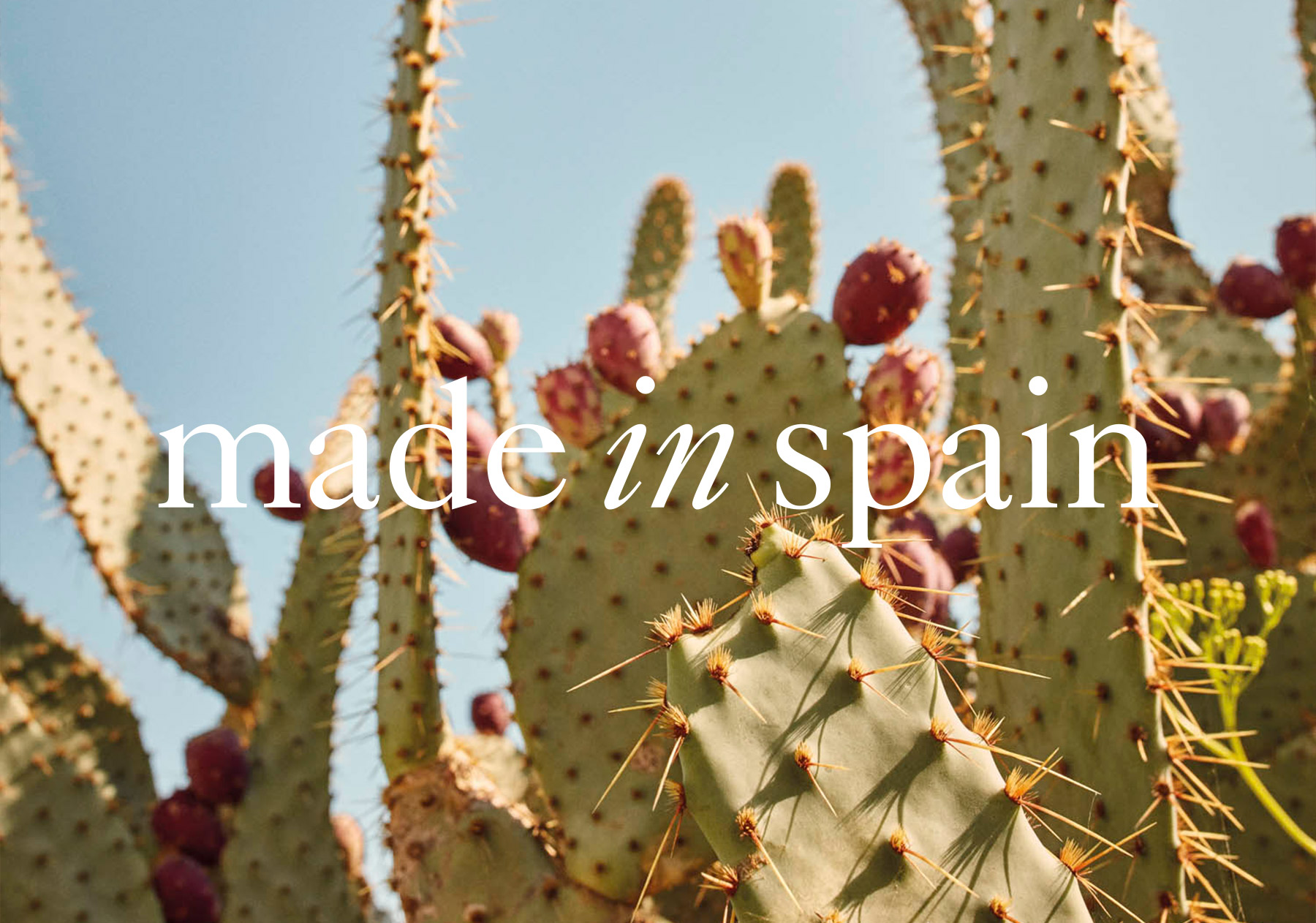 contingut direccio art disseny editorial pedro garcia clase bcn – Clase bcn