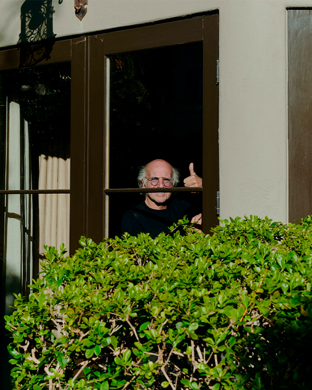 Larry David by Jake Michaels