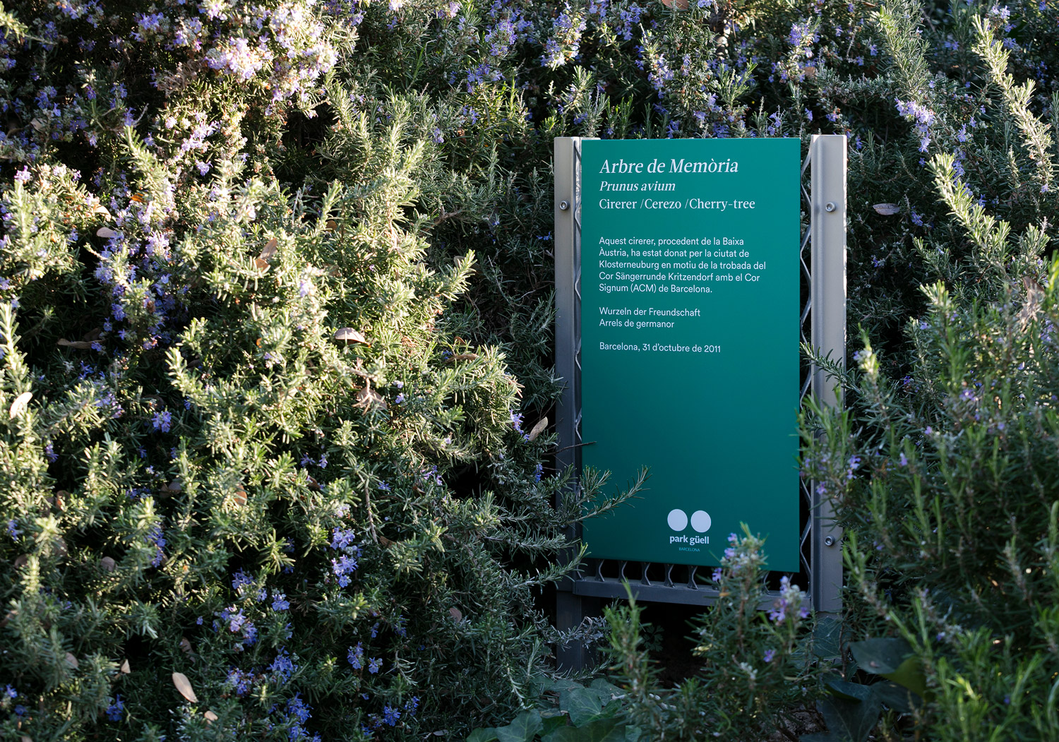 Park Güell – Clase bcn