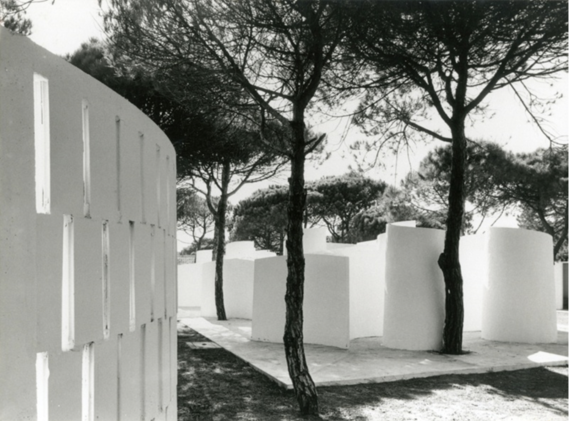 Camping La Ballena Alegre – Clase bcn