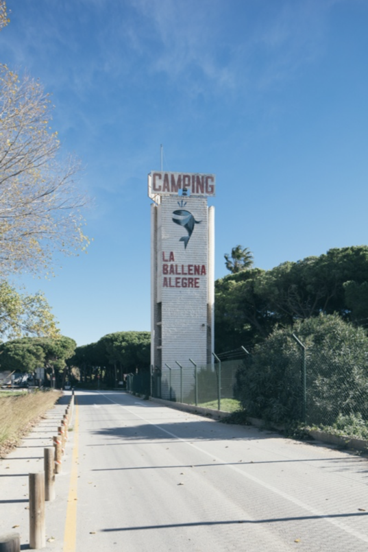 Camping La Ballena Alegre – Clase bcn