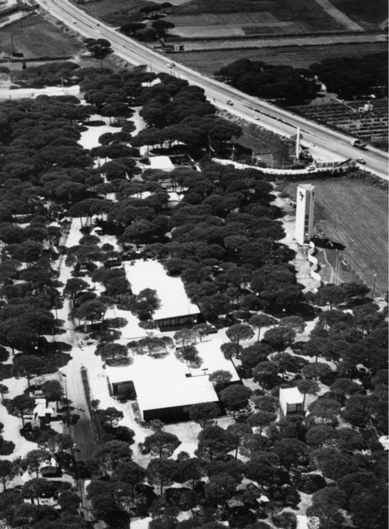 Camping La Ballena Alegre – Clase bcn