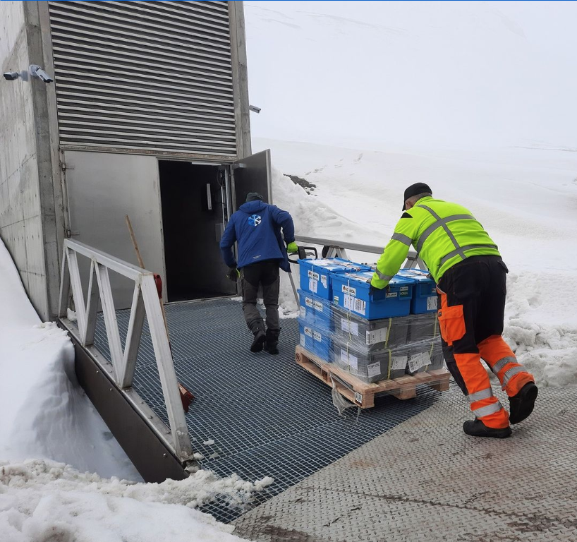 Global seed vault – Clase bcn