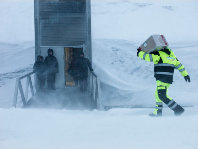Global seed vault – Clase bcn