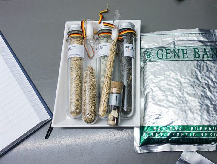 Global seed vault – Clase bcn