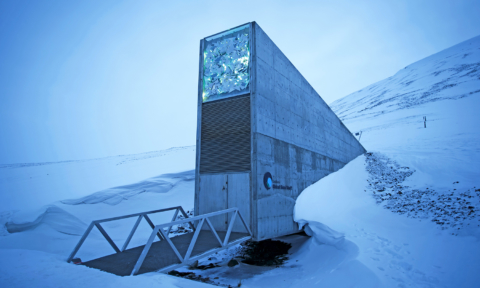 Global seed vault