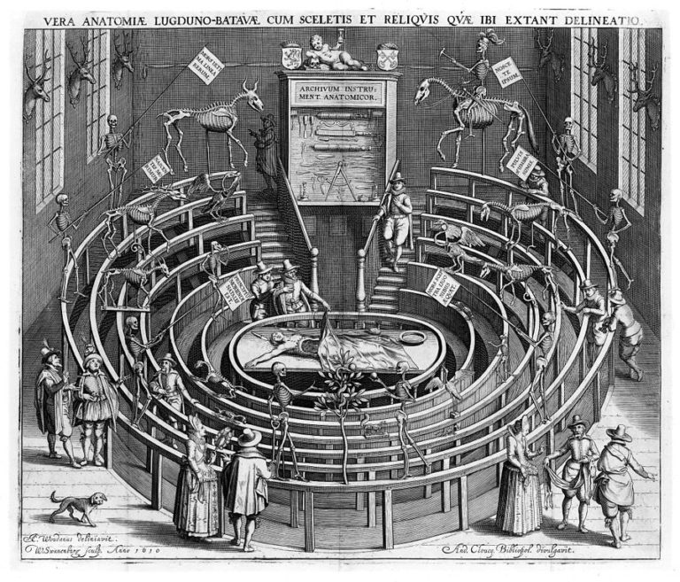 Anatomical Theater of Barcelona – Clase bcn