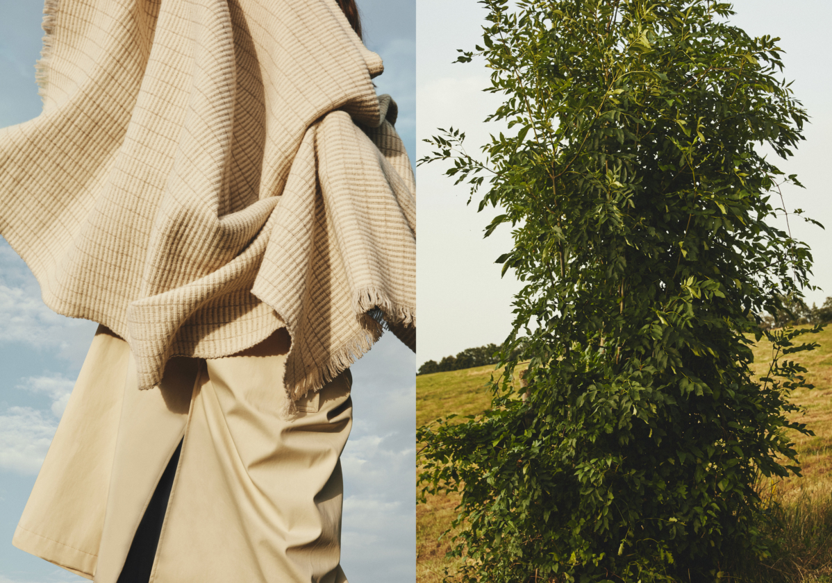 Campaña – Clase bcn