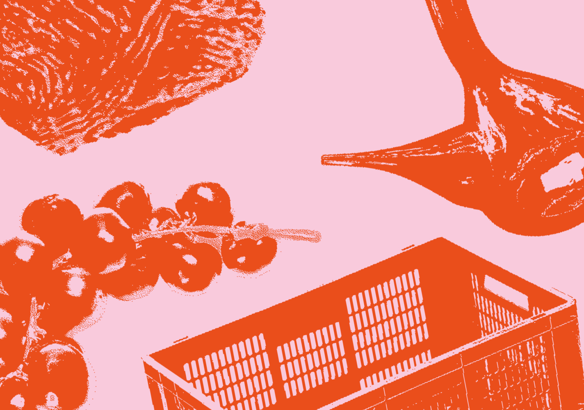 Clasebcn MuseuTerra branding identity – Clase bcn