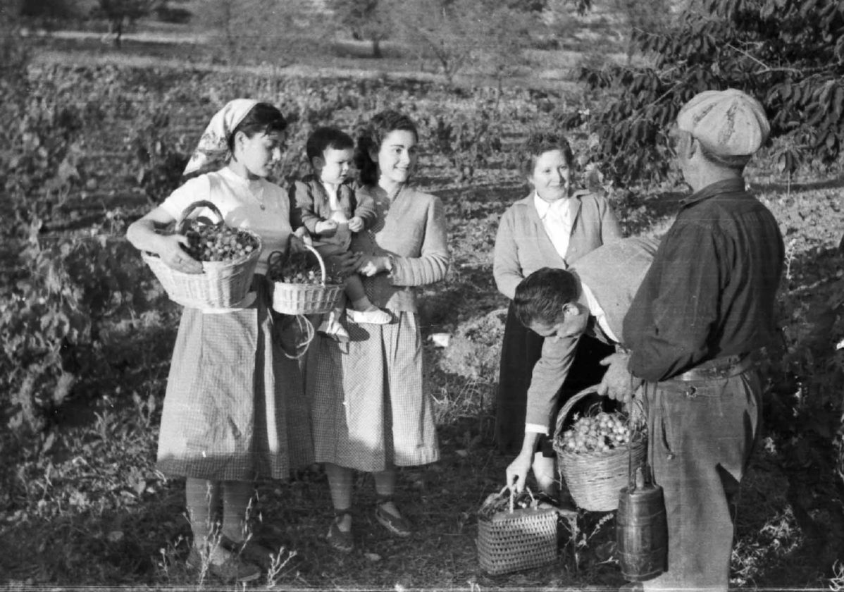 Clasebcn MuseuTerra branding Concept Visual reference – Clase bcn