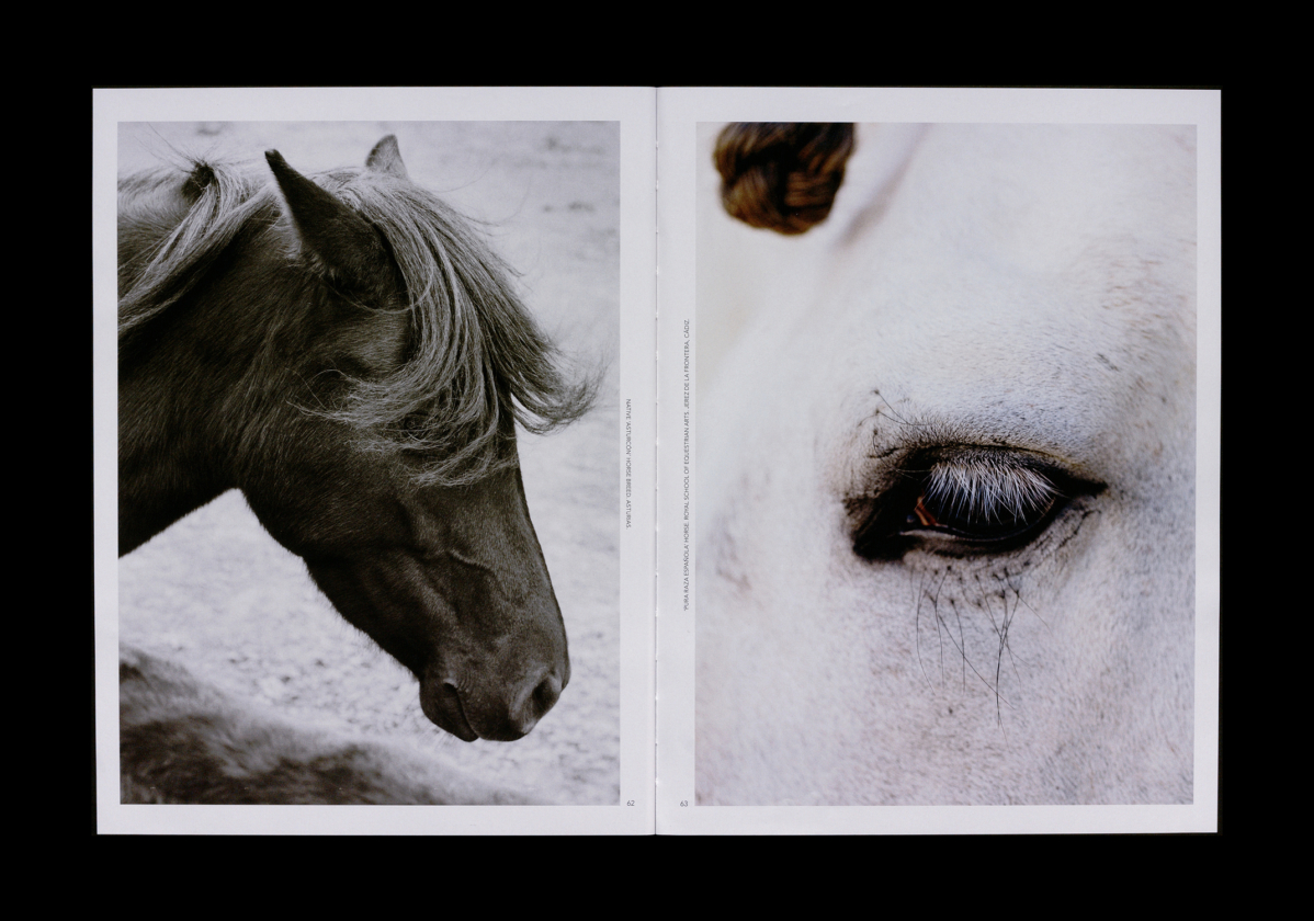 Conceptualized, edited, and designed a book by Clase Bcn for Pedro García, a footwear brand based in Elda, Spain. – Clase bcn